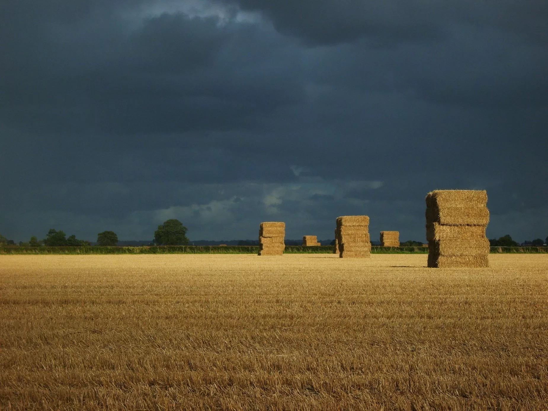 Square Bales