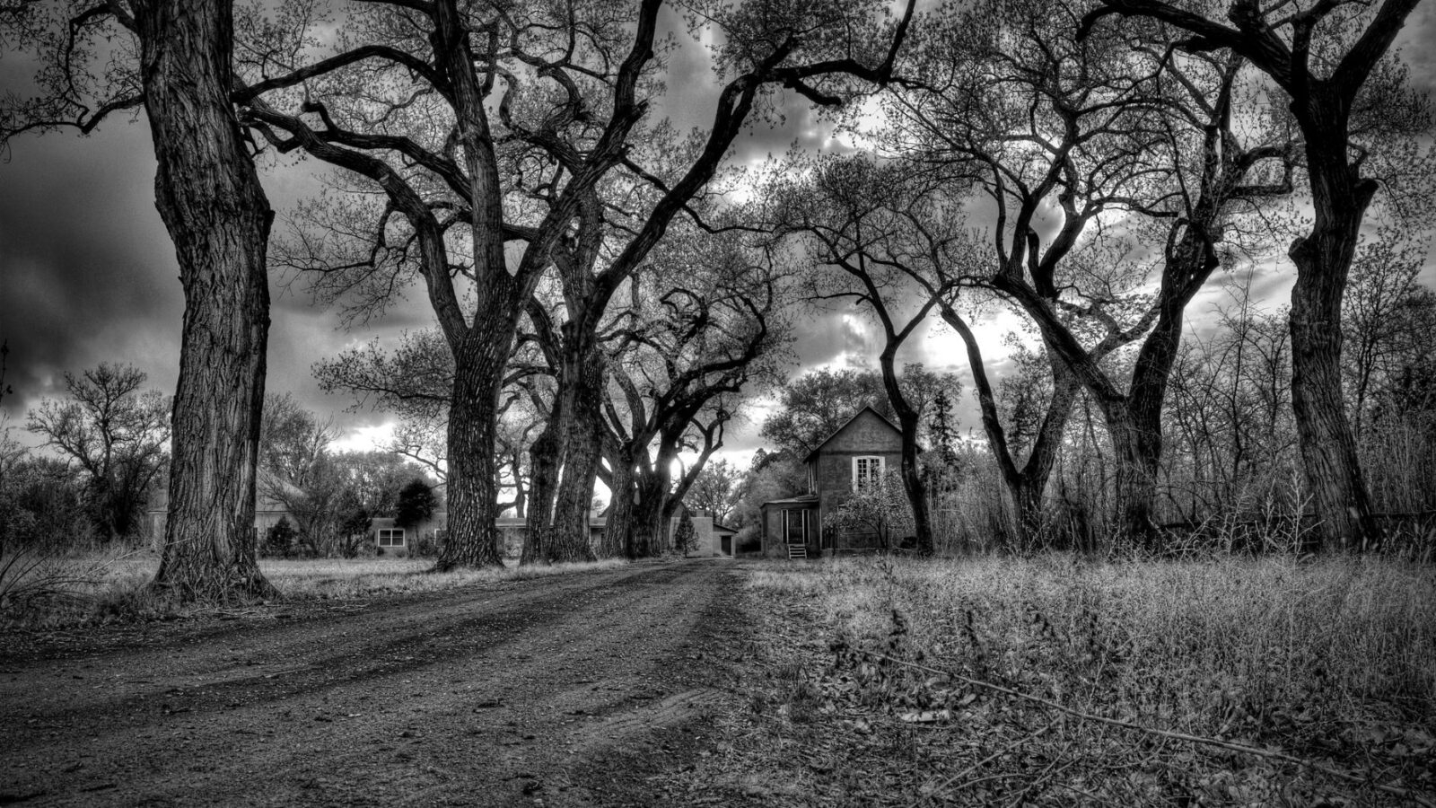 the-empty-road-by-mark-scheel-the-milk-house