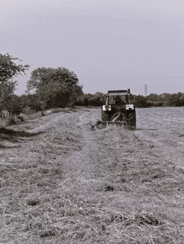 Making Hay by Emily Tee