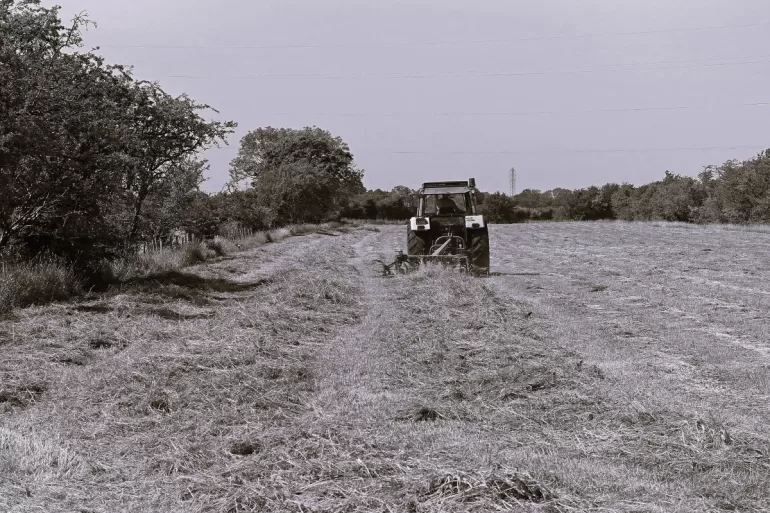 Making Hay by Emily Tee