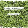 Early Blueberries by Caite McNeil