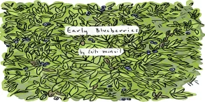 Early Blueberries by Caite McNeil