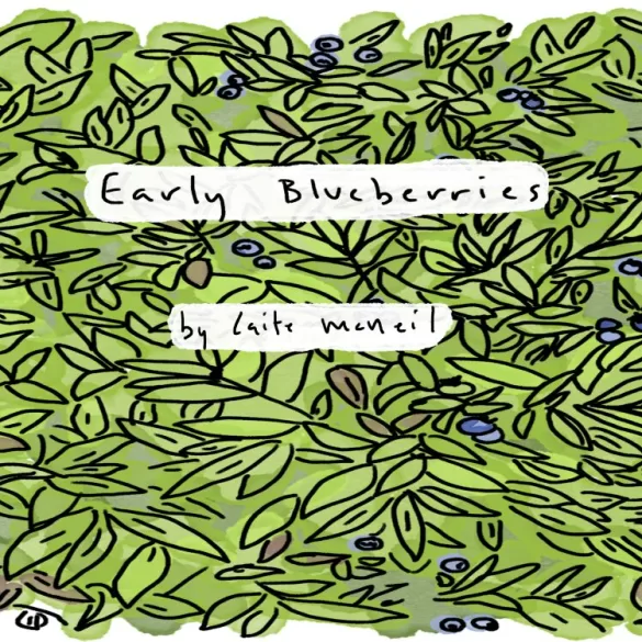 Early Blueberries by Caite McNeil