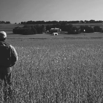 man in soybean field