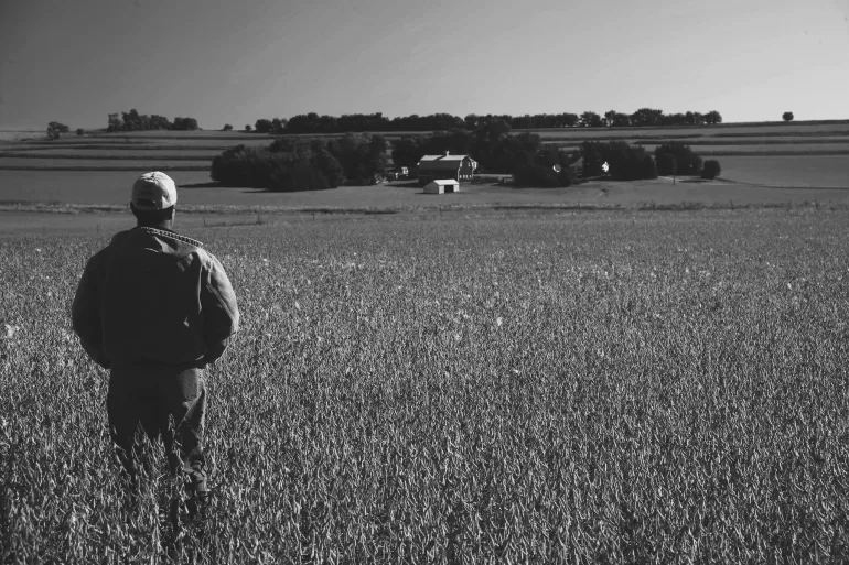 man in soybean field