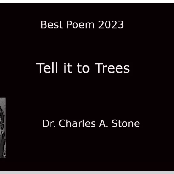 Dr. Charles A Stone