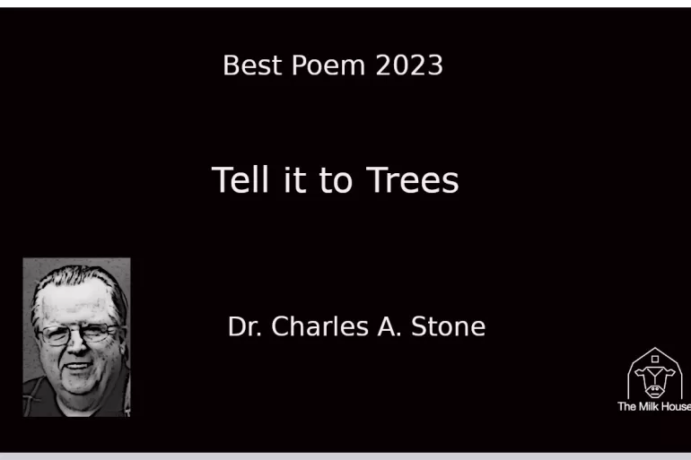 Dr. Charles A Stone