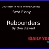 Best Essay Don Steward 2024 Contest