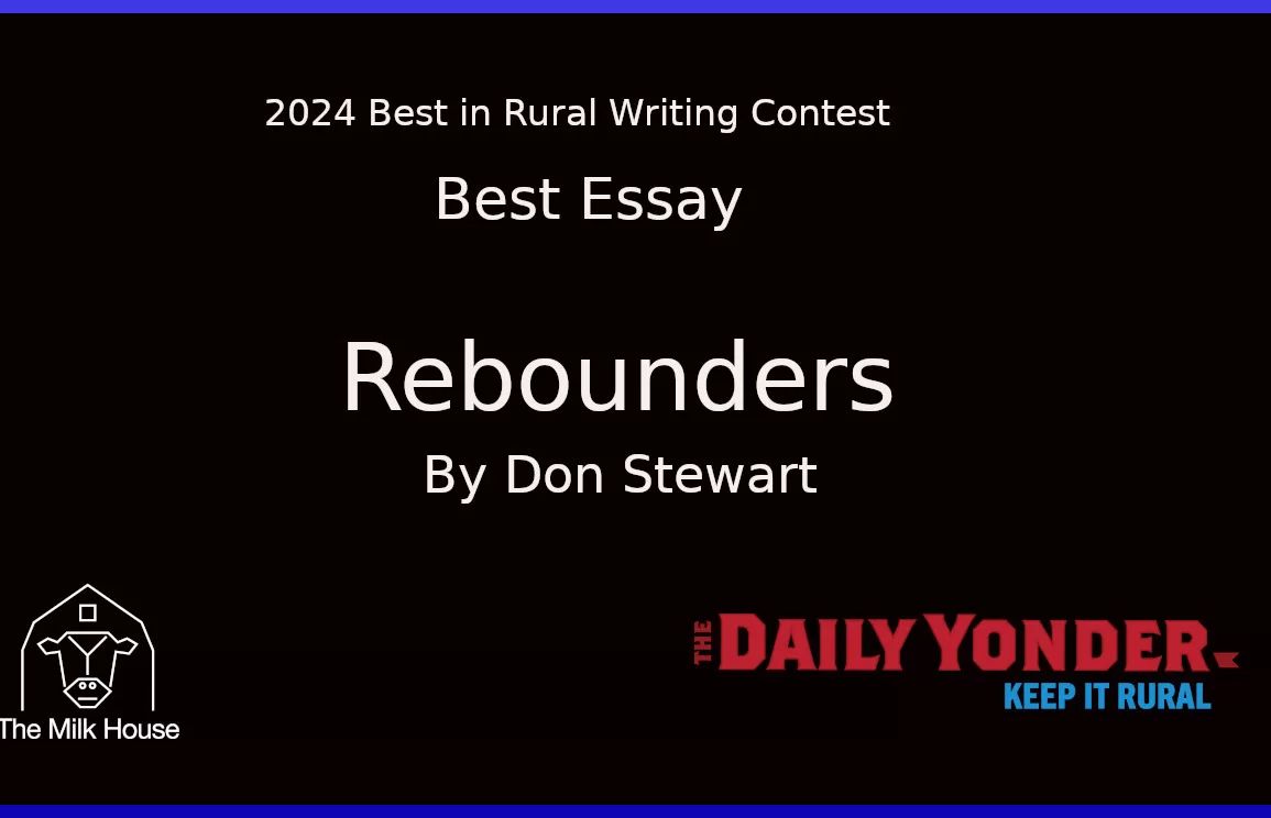 Best Essay Don Steward 2024 Contest