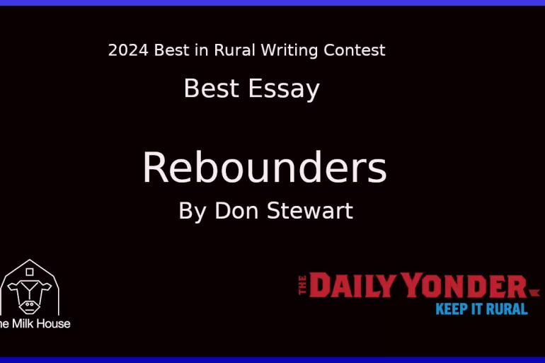 Best Essay Don Steward 2024 Contest