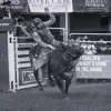 bull riding in Crazy Train by Simon Rowe