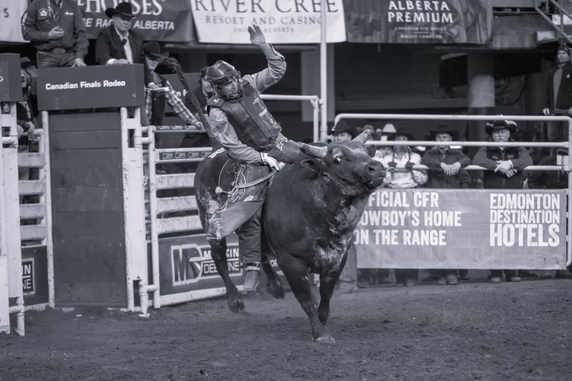 bull riding in Crazy Train by Simon Rowe