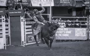 bull riding in Crazy Train by Simon Rowe