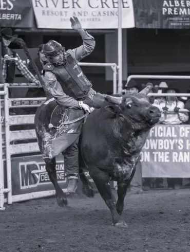 bull riding in Crazy Train by Simon Rowe