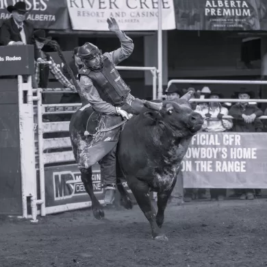 bull riding in Crazy Train by Simon Rowe