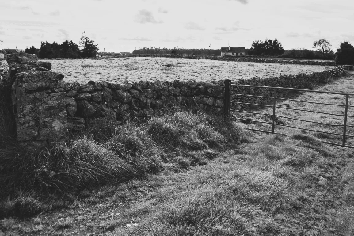 These Stone Walls by Aine Greaney