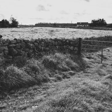 These Stone Walls by Aine Greaney